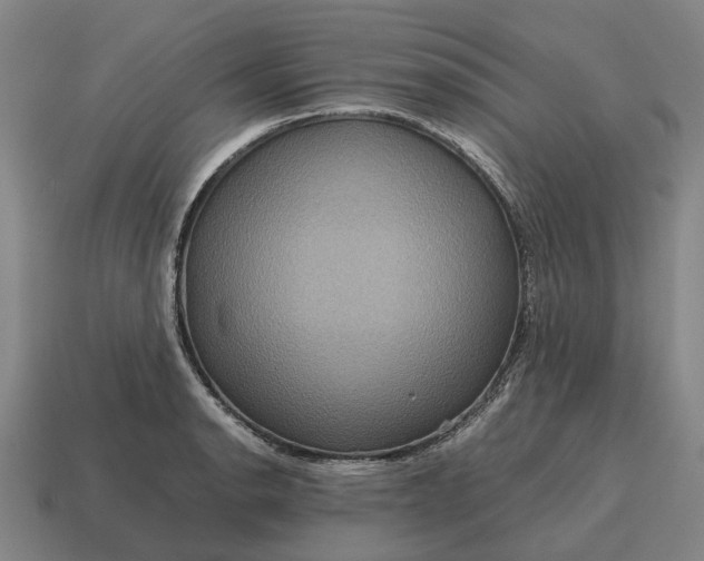 X0000115121134200911101621
