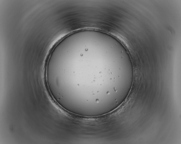 X0000115121135200911101621
