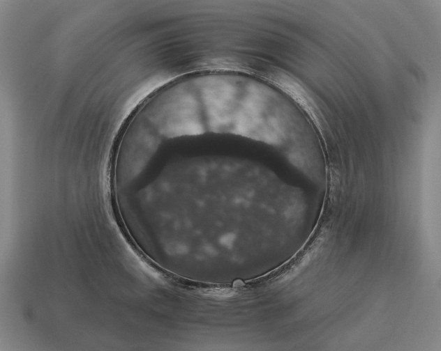 X0000115121141200911101621