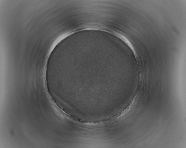 X0000115121146200911101621