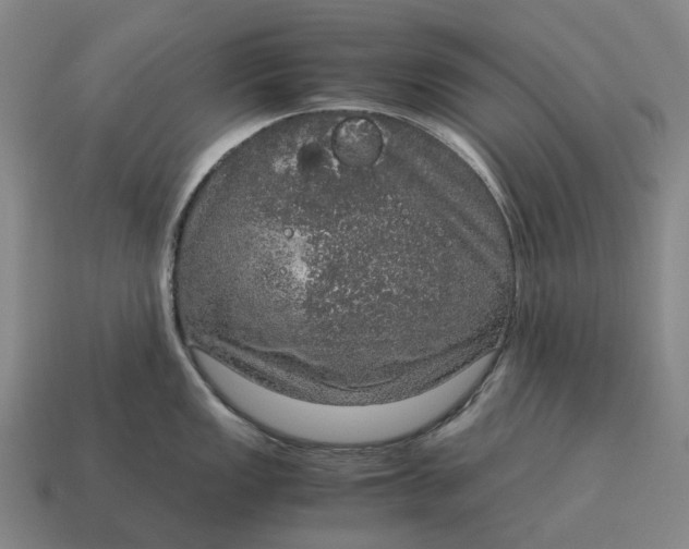 X0000115121149200911101621