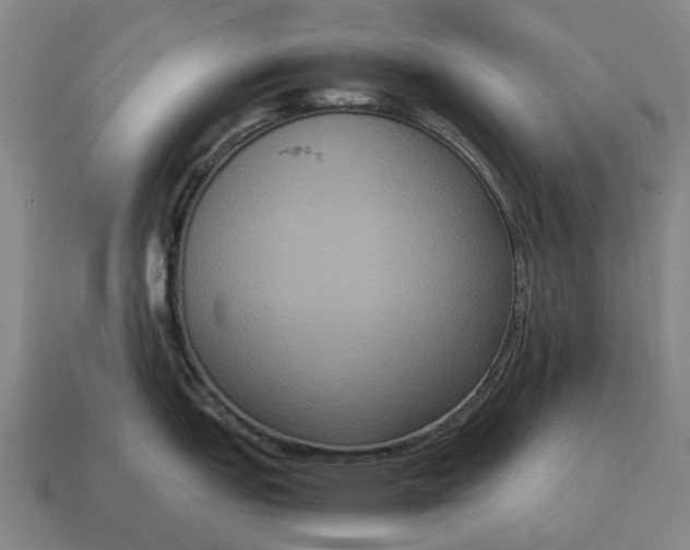 X0000115121151200911101621