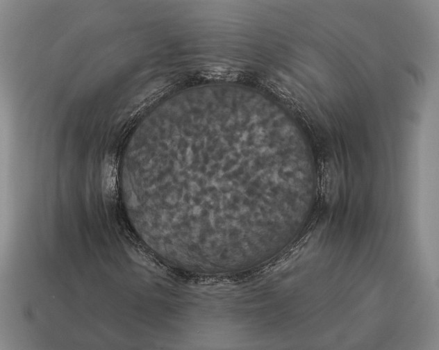 X0000115121154200911101620