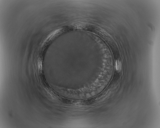 X0000115121155200911101620