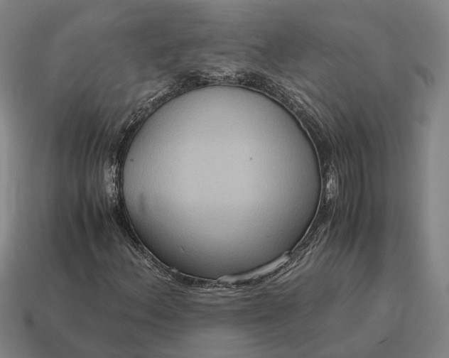 X0000115121156200911101620