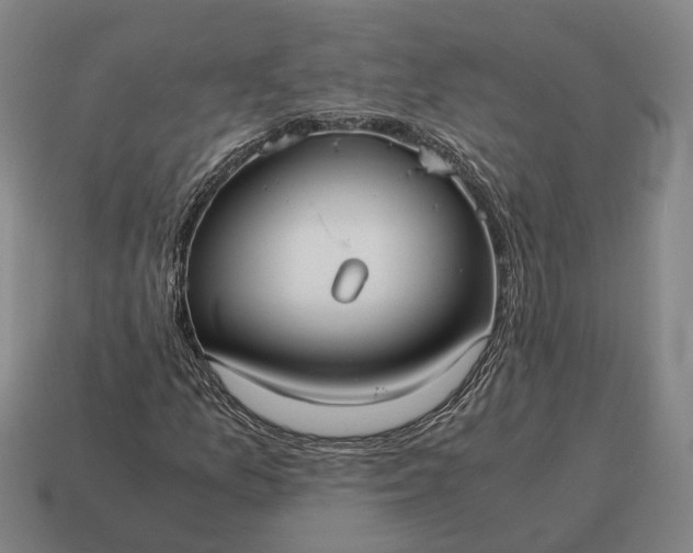 X0000115121157200911101620