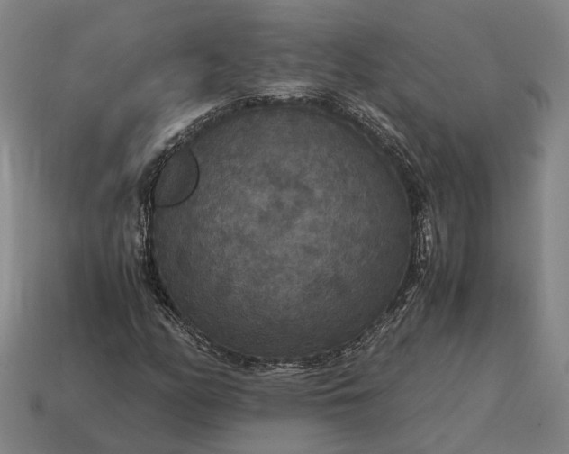X0000115121158200911101620