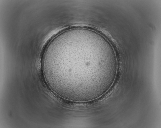 X0000115121167200911101620