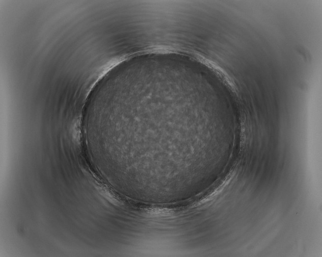 X0000115121170200911101620