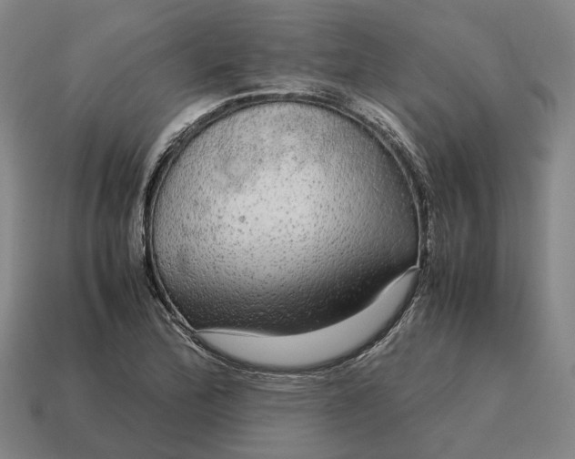 X0000115121172200911101620