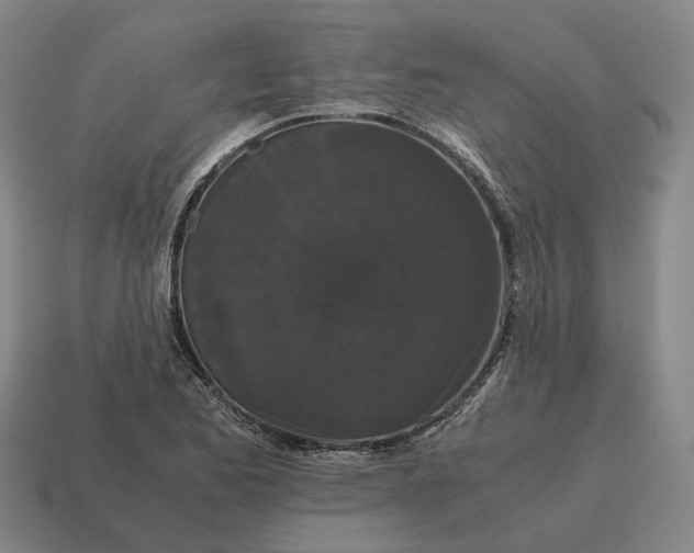 X0000115121173200911101620
