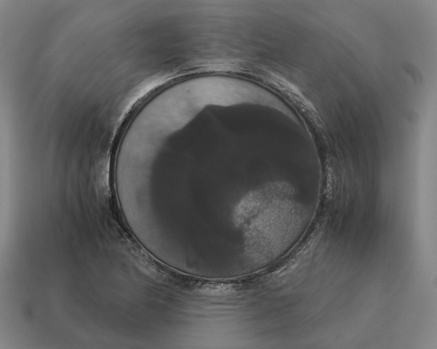 X0000115121174200911101620
