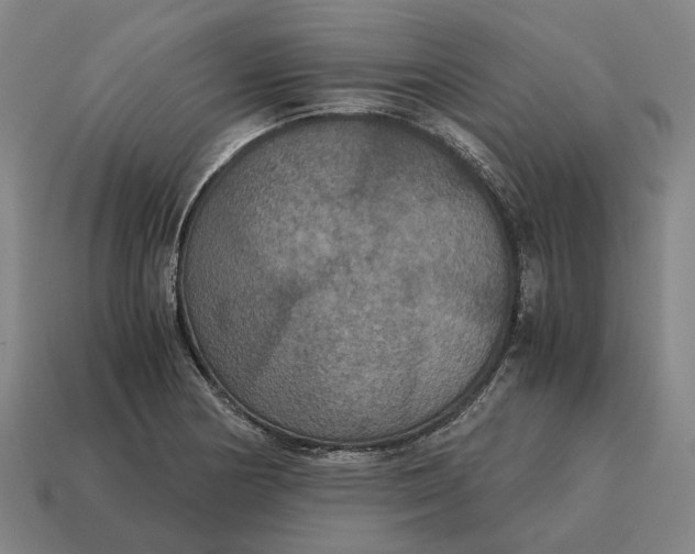 X0000115121178200911101620