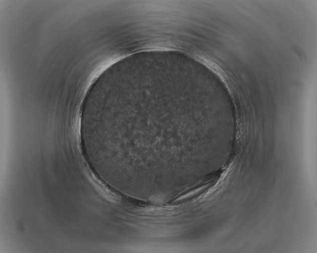 X0000115121179200911101620