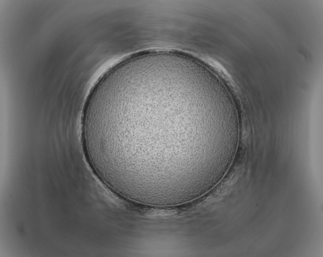 X0000115121183200911101620