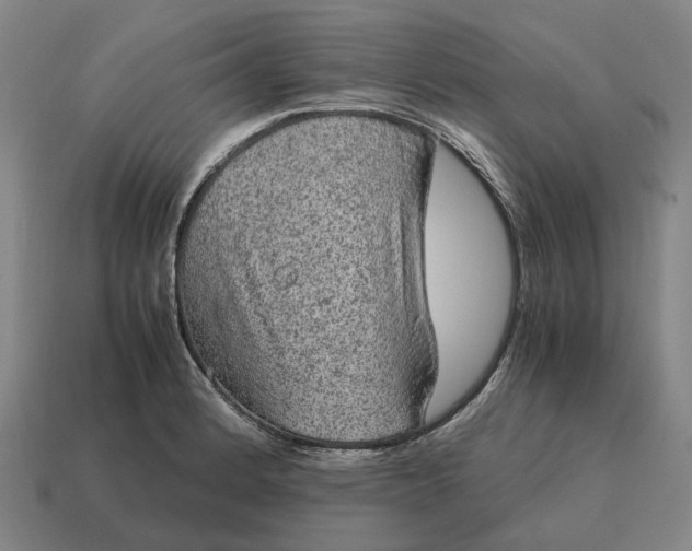 X0000115121184200911101620