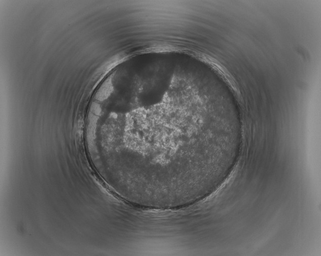 X0000115121185200911101620