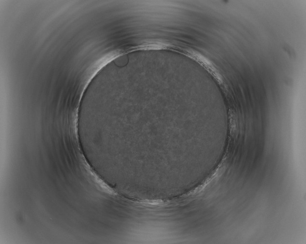 X0000115121186200911101620