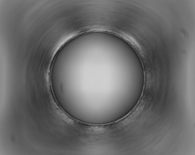 X0000115121190200911101620