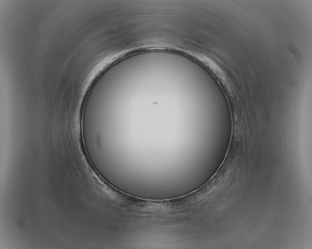 X0000115121191200911101620