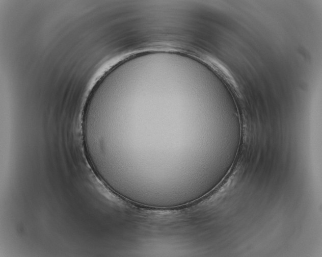 X0000115121192200911101620