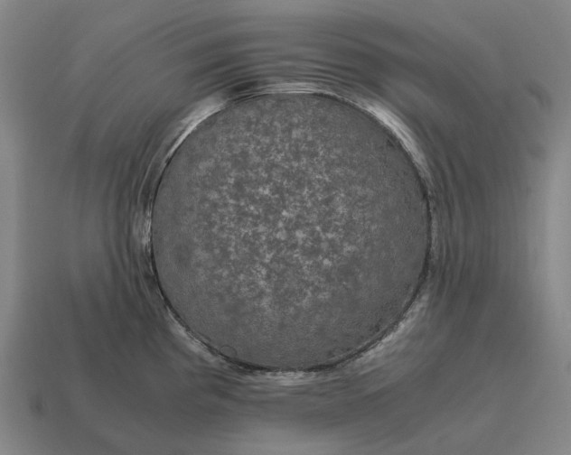 X0000115121193200911101620