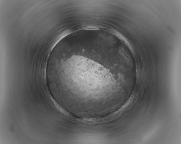 X0000115121194200911101620