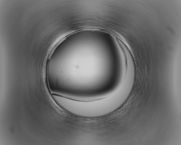 X0000115121195200911101620