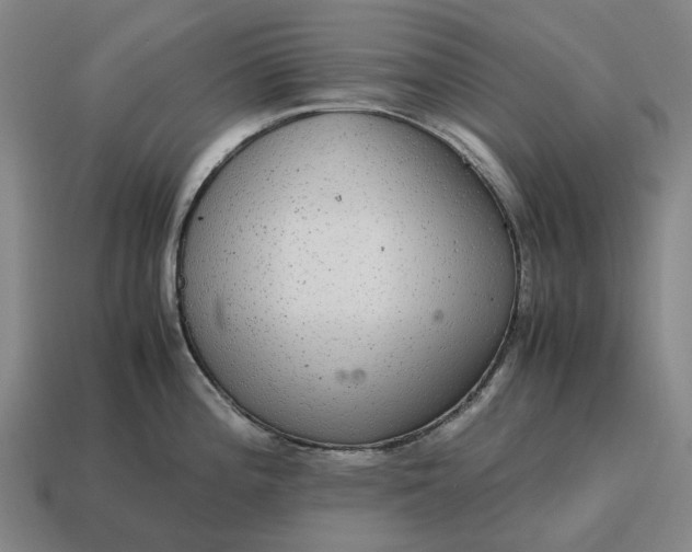 X0000115121196200911101620