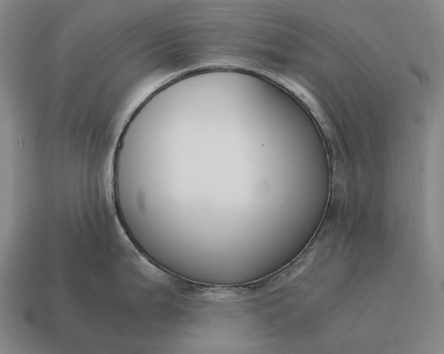 X0000115121199200911101620