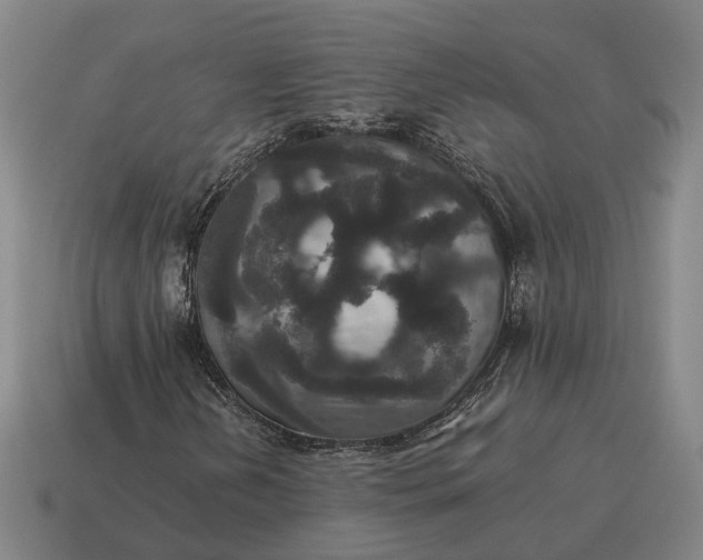 X0000115121202200911101619