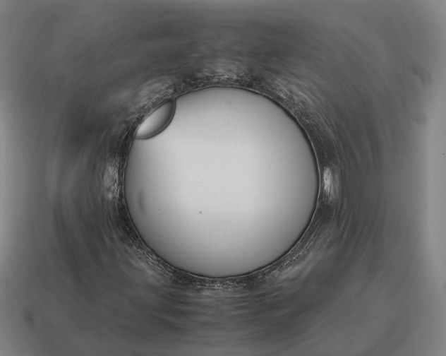 X0000115121203200911101619