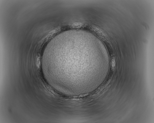 X0000115121204200911101619