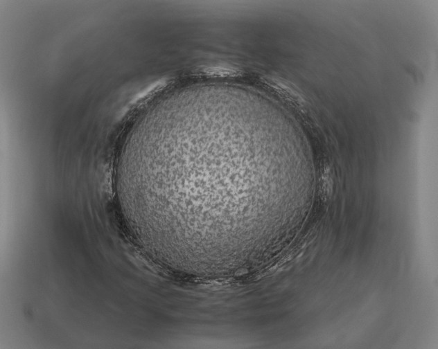X0000115121205200911101619