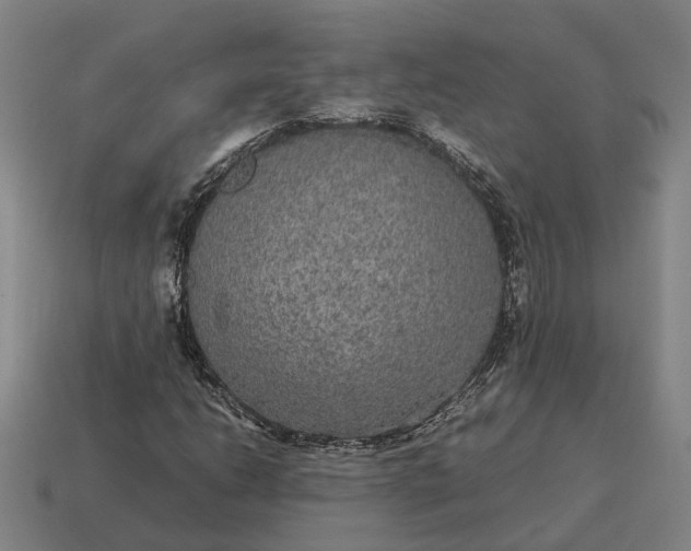 X0000115121206200911101619