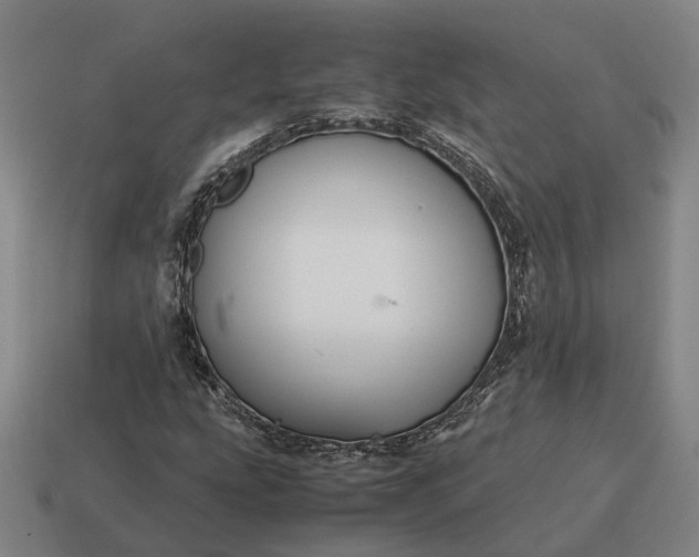 X0000115121207200911101619
