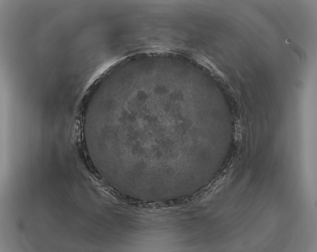 X0000115121208200911101619