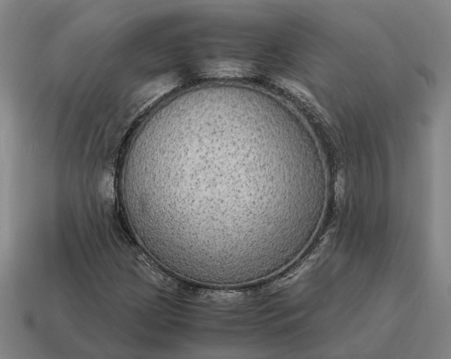 X0000115121209200911101619