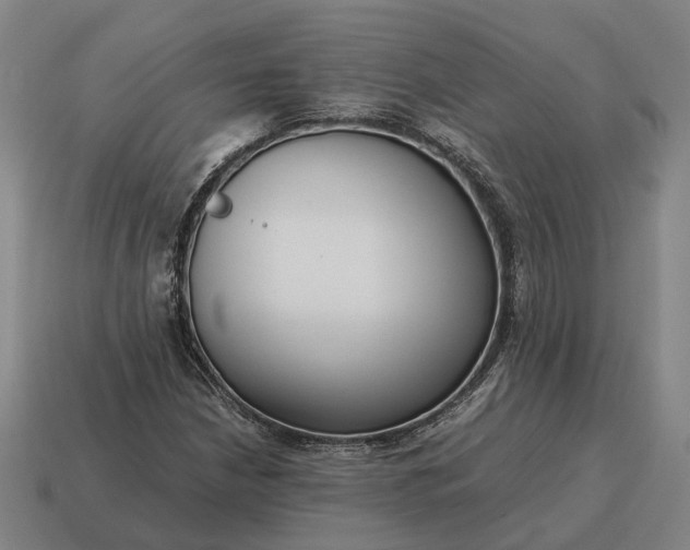 X0000115121210200911101619