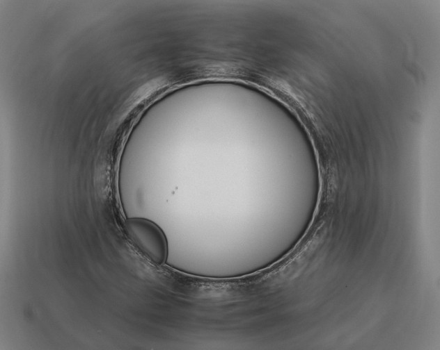 X0000115121211200911101619