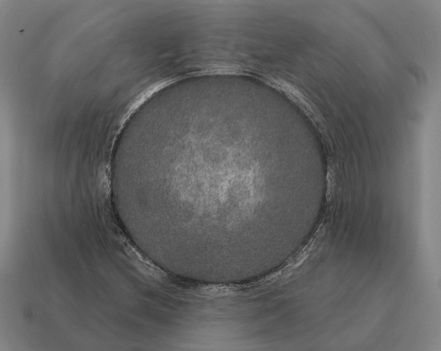 X0000115121212200911101619