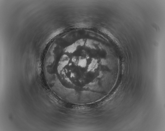 X0000115121213200911101619