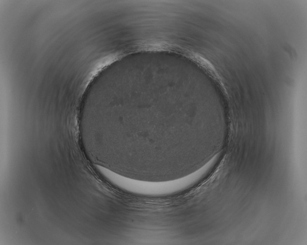 X0000115121218200911101619