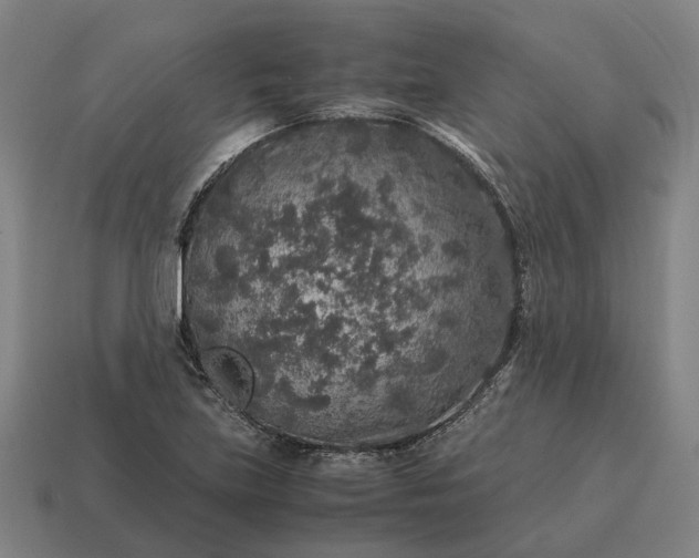 X0000115121219200911101619