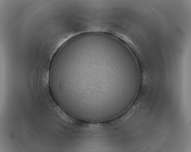 X0000115121220200911101619