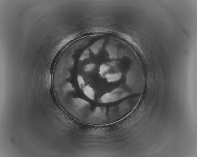 X0000115121221200911101619