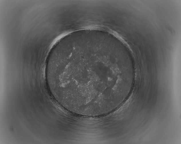 X0000115121222200911101619