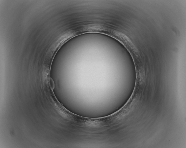 X0000115121225200911101619
