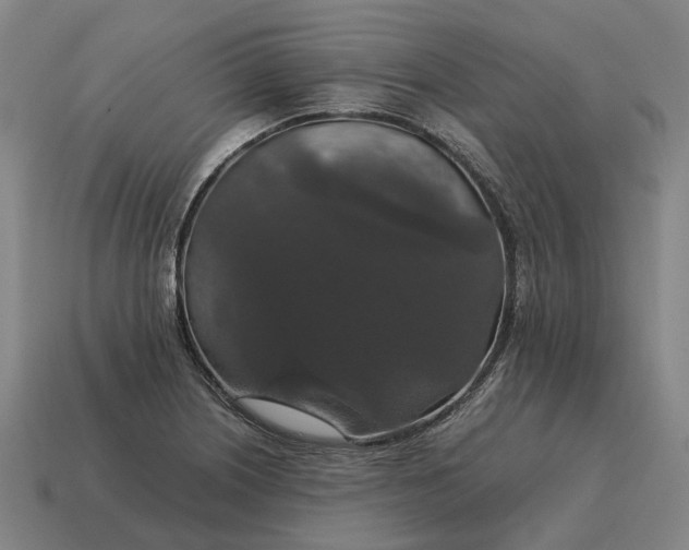 X0000115121226200911101619