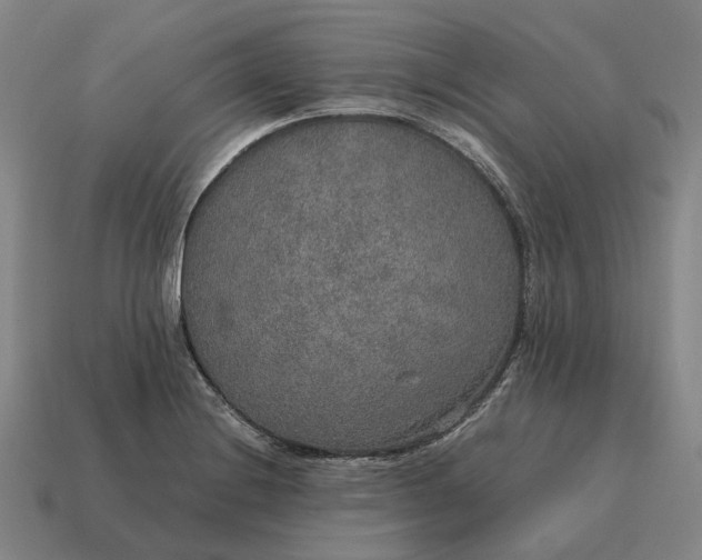 X0000115121228200911101619